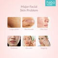 Habo by Ogawa Peony Ion Cleansing & Infusing & Cooling Device* [Apply Code: 6TT31]